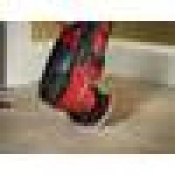 Best reviews of 🎉 Power Multi Tools Milwaukee M18 18-Volt Lithium-Ion Cordless Oscillating Multi-Tool Kit W/(2) 3.0Ah Batteries, Accessories, Charger, Bag 👍 13 Best reviews of 🎉 Power Multi Tools Milwaukee M18 18-Volt Lithium-Ion Cordless Oscillating Multi-Tool Kit W/(2) 3.0Ah Batteries, Accessories, Charger, Bag 👍 - Image 13